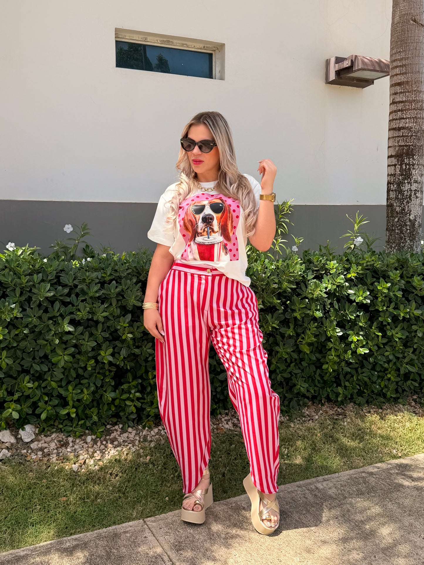 SRAWBERRY PANTS